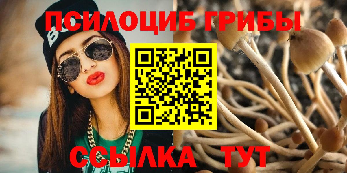 Псилоцибиновые грибы Psilocybe Ливны
