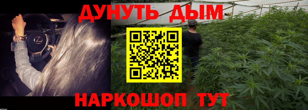 Каннабис сатива Ливны